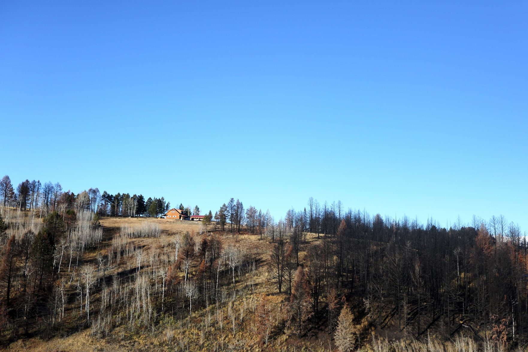 Hoback Ranch Fire